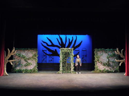 The Secret Garden 2018