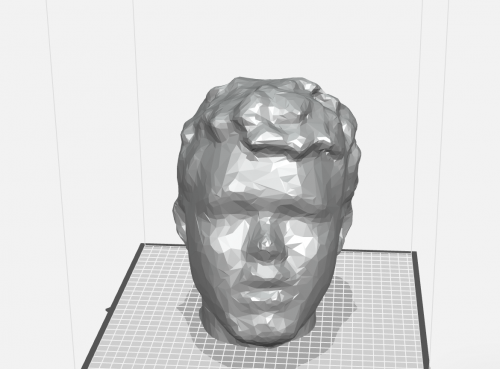 King John Fake Head 3D Scanned File